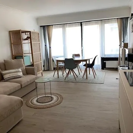 公寓 Cosy With Lateral Seaview T57 奥斯滕德